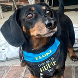 Hump Day / Over the Collar Dog Bandana