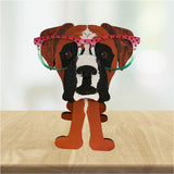 Boxer Eyeglass Holder
