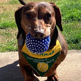 You Threw It - YOU Go Get It / Over the Collar Dog Bandana