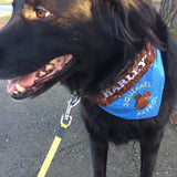 squirrel patrol dog bandana