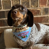 Adventure is Out There / Over the Collar Dog Bandana