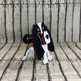 Cavalier King Charles Eyeglass Holder