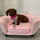 Princess / Over the Collar Dog Bandana