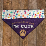 I'm Cute / Over the Collar Dog Bandana