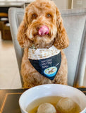 Passover Dog Bandana / Matzah Matzah Man