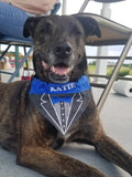 Tuxedo / Over the Collar Dog Bandana