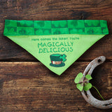 Magically Delicious / Over the Collar Dog Bandana