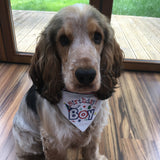 Birthday Boy / Over the Collar Dog Bandana