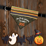 I'm really a DOG / Halloween Cat Bandana