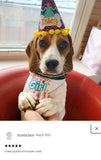 Birthday Girl / Over the Collar Dog Bandana