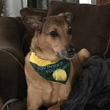 You Threw It - YOU Go Get It / Over the Collar Dog Bandana