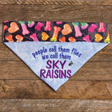 Sky Raisins / Over the Collar Dog Bandana - Mydeye