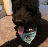 Squirrel Patrol / Over the Collar Dog Bandana