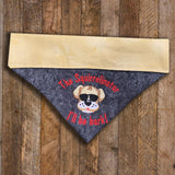 Squirrelinator / Over the Collar Bandana - Mydeye