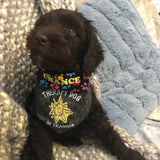 Custom Order Bandana