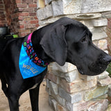 Wiggle Butt / Over the Collar Dog Bandana