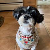 Don't Shop - Adopt / Over the Collar Dog Bandana