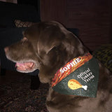 thanksgiving dog bandana