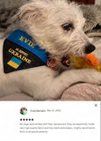 Ukrainian Support Bandana