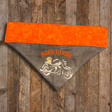 Born to Ride / Over the Collar Dog Bandana