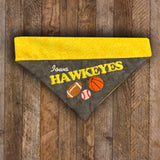 Iowa Hawkeyes / Over the Collar Dog Bandana