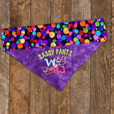 W & HJ - Sassy Pants / Over the Collar Dog Bandana