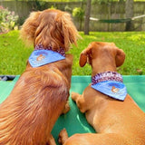 Squirrel Patrol / Over the Collar Dog Bandana