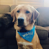 Wiggle Butt / Over the Collar Dog Bandana