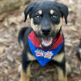 Flag Paws / Over the Collar Dog Bandana