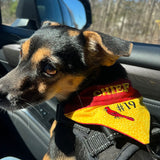 Custom Order Bandana
