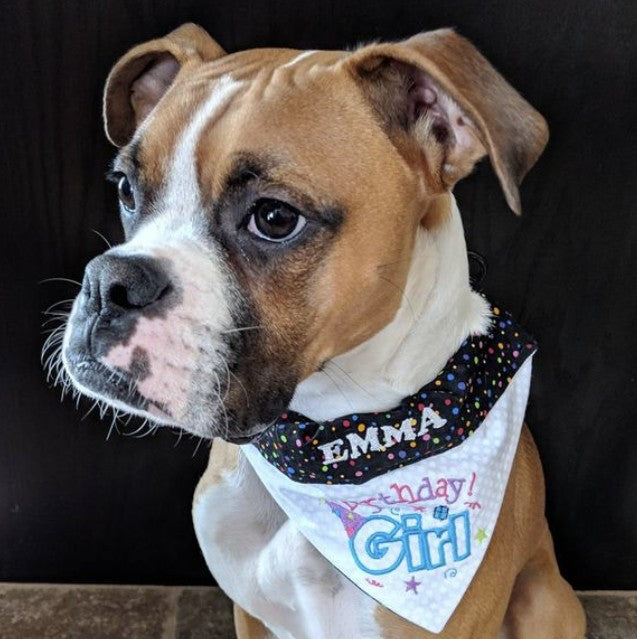 Your Dog Is Your Best Friend — Time to Make It Official