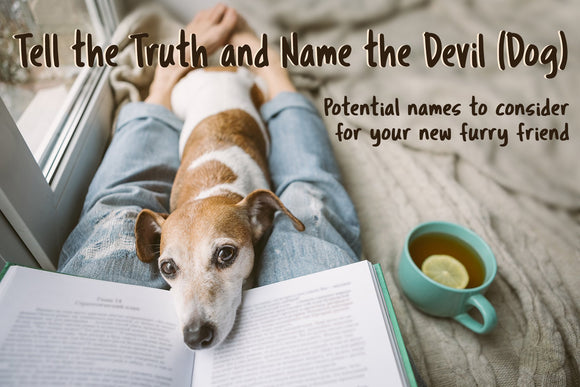 Tell the Truth and Name the Devil (Dog) - Mydeye