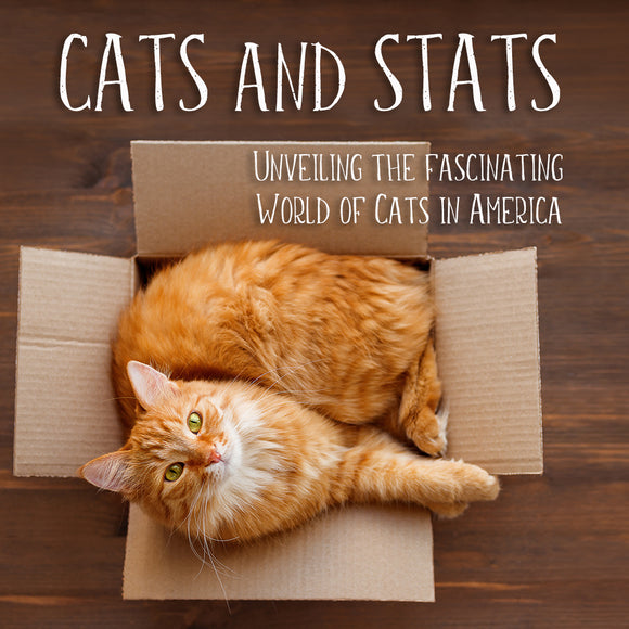 Cats and Stats: Unveiling the Fascinating World of Cats in America