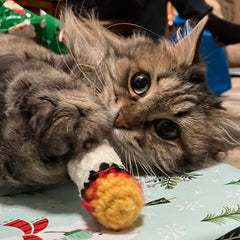 Collection image for: Catnip Toy Corner