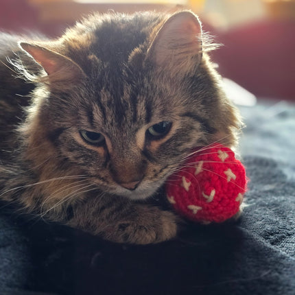 'Shrooms / Crinkle Catnip Crocheted Mushroom Toys