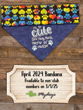 Bandana of the Month Club - New Plans!