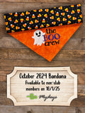 Bandana of the Month Club - New Plans!