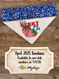 Bandana of the Month Club