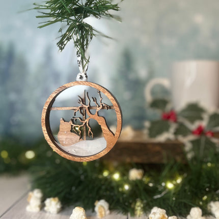 Short Hair Cat Breed Snowy Window Ornament / Cat Christmas Ornament