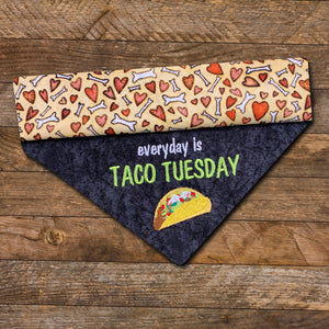 Taco Tuesday / Over the Collar Dog Bandana