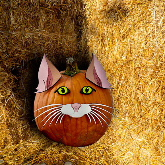 Pumpkin Decorating Kit - No Carve Cat | No Carve Dog