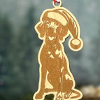 Vizla