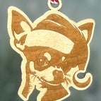 Chihuahua