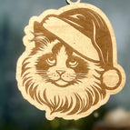 Ragdoll