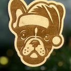 Boston terrier