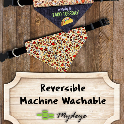 Taco Tuesday / Over the Collar Dog Bandana
