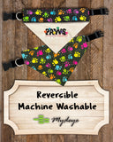 Bandana of the Month Club