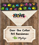 Bandana of the Month Club