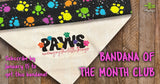 Bandana of the Month Club