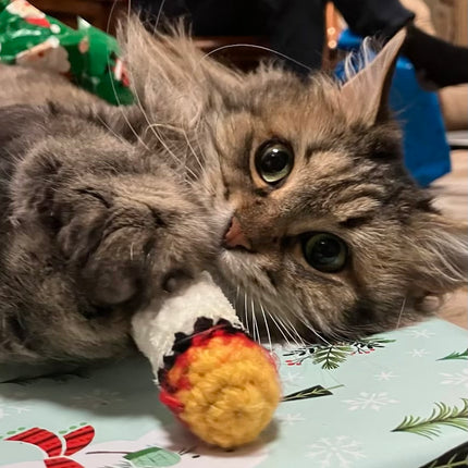 Cat Weed Joints / Crinkle Catnip Crocheted Toys